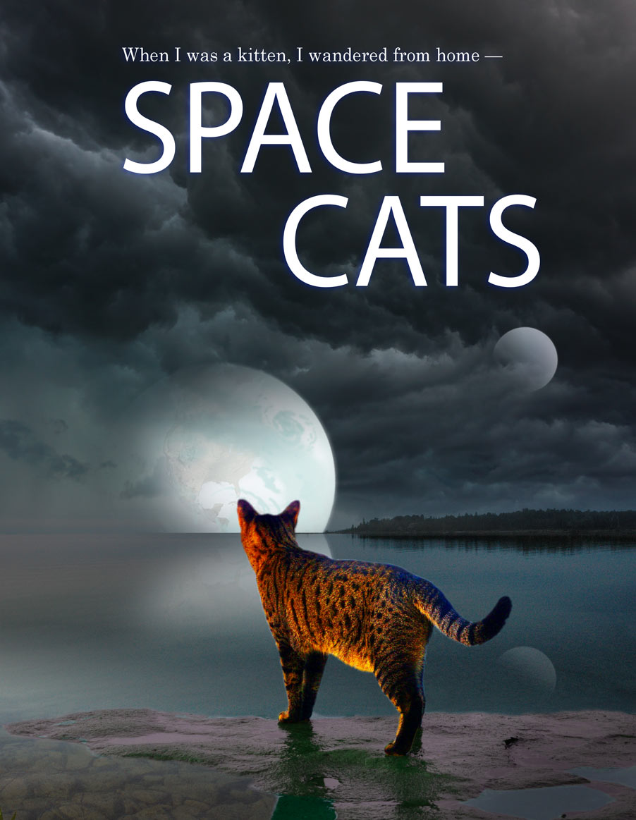 Space Cats book cover